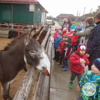 Vizita la Ferma Animalelor #childrentour