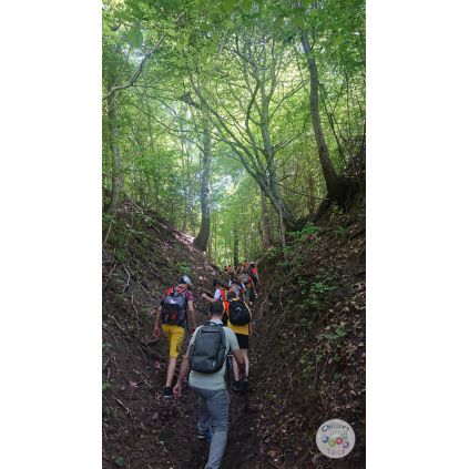 Excursie "O zi in Armata" la Rasnov #childrentour