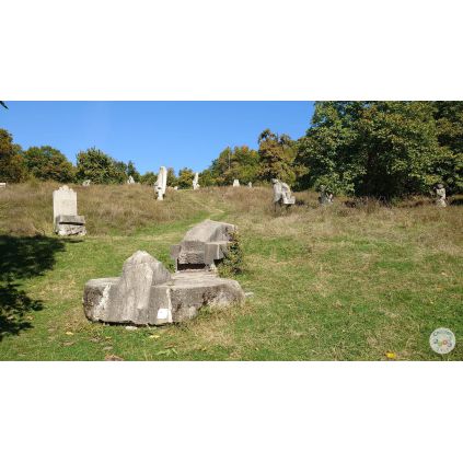 Excursie de o zi la Herghelia Cislau-Tabara de Sculptura Magura-Vulcanii Noroiosi #childrentour