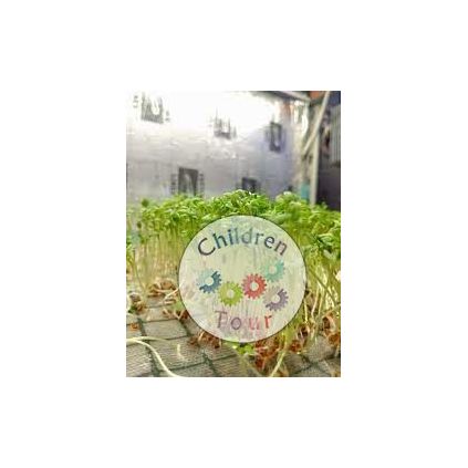 Excursie la Muzeul Interactiv al Stiintei Brasov #childrentour