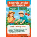Excursie la Cules de Capsuni #childrentour