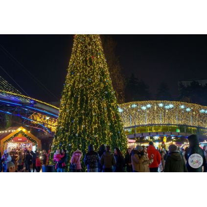 Excursia Sărbătorilor de Iarnă - Casuta de Turta Dulce #childrentour