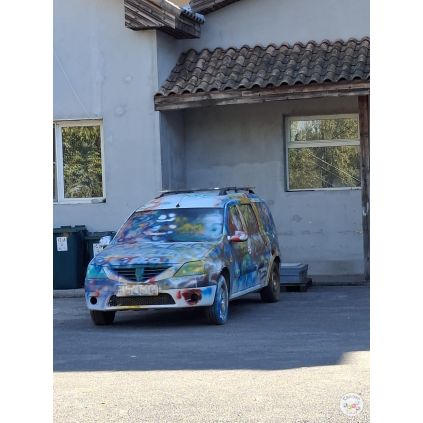 Excursie ‘Graffiti Wall & Car Painting’ la Urziceni cu activitati incluse #childrentour