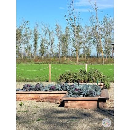 Excursie 'Micul Gradinar' la Urziceni cu activitati incluse #childrentour