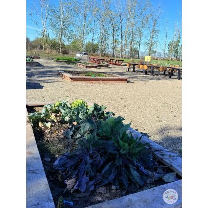 Excursie 'Micul Gradinar' la Urziceni cu activitati incluse #childrentour