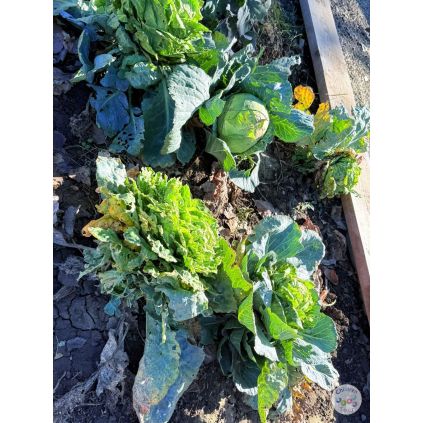 Excursie 'Micul Gradinar' la Urziceni cu activitati incluse #childrentour