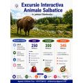 Excursie la Rezervatia de Zimbri-Targoviste #childrentour