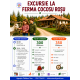 Excursie la Ferma Cocosu Rosu #childrentour