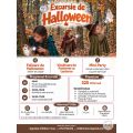 Excursie de Halloween cu actvitati, in judetul Dambovita #childrentour