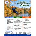 Excursie la Parcul de Aventura Comana #childrentour