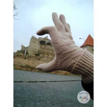 Turul Cetatilor si a Bisericilor Fortificate Transilvane #childrentour
